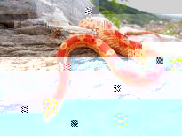 go.php.jpg