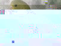 15285765_2_800x600_rev001.jpg