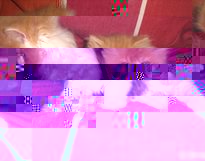 78587_2012071708.jpg