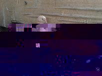 030320121751.jpg