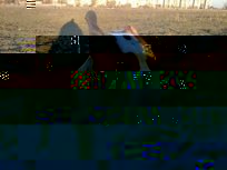 16650944_thumb.jpg