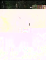 SAM_1390.JPG