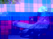 6894989481.jpg