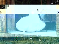 60095-3-maykata-malkitesi-malkitesi-gledat.jpg