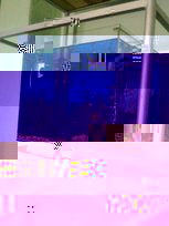 а.jpg